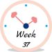 wvw37 Zwangerschap week 37